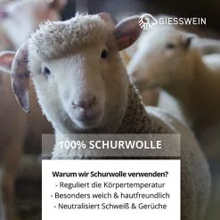 Giesswein Woolpops Hüttenschuhe -Schuhladen 16919345 04